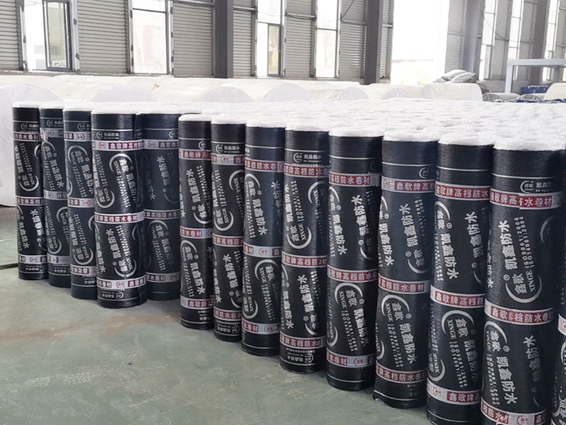 彈性體改性瀝青防水卷材